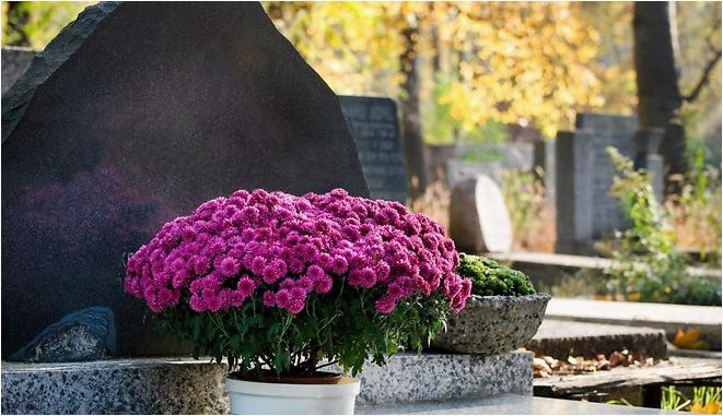 (благоустроить, территорию, кладбище) Как благоустроить территорию на кладбище