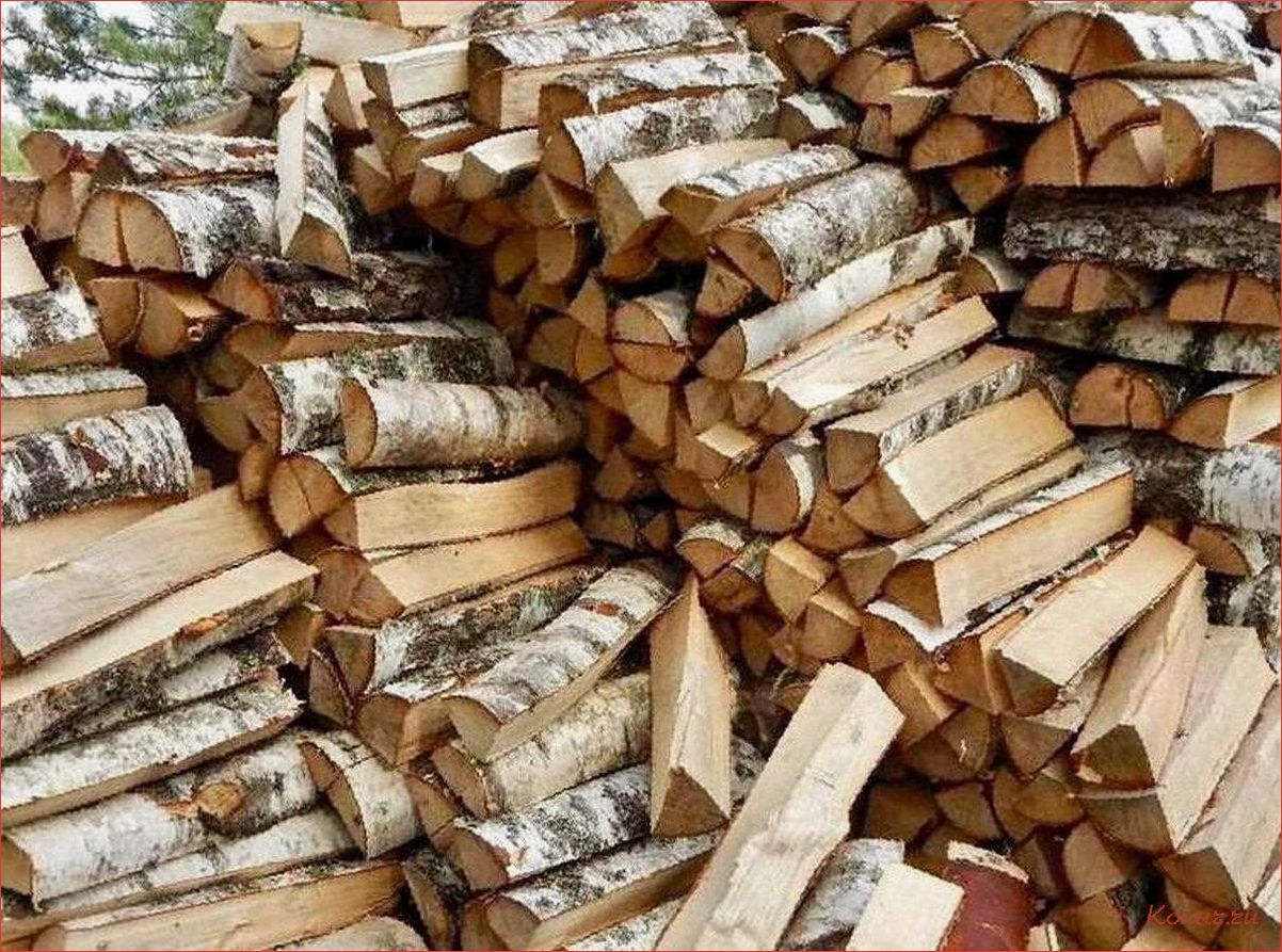 (купить, дрова, выгодной, цене) Где купить дрова по выгодной цене?