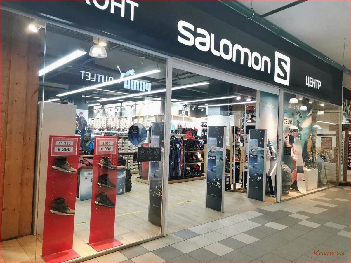 (купить, товары, бренда, salomon, интернет-магазине) Купить товары бренда Salomon в интернет-магазине