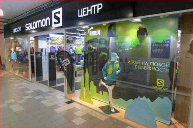 (купить, товары, бренда, salomon, интернет-магазине) Купить товары бренда Salomon в интернет-магазине