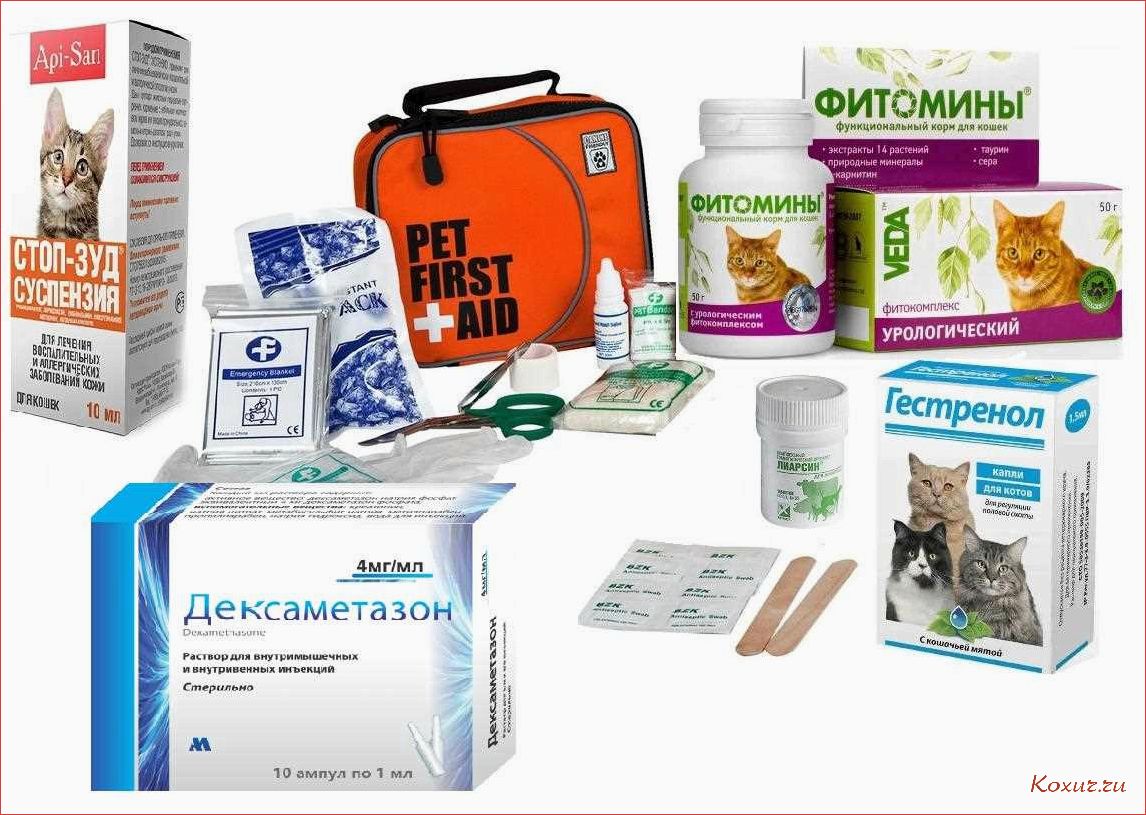 (ветеринарные, препараты, здоровья, ваших, животных) Ветеринарные препараты для здоровья ваших животных